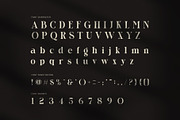 Homste Editorial Serif Font, a Serif Font by Perfectype (Thumbnail 6 of 7)