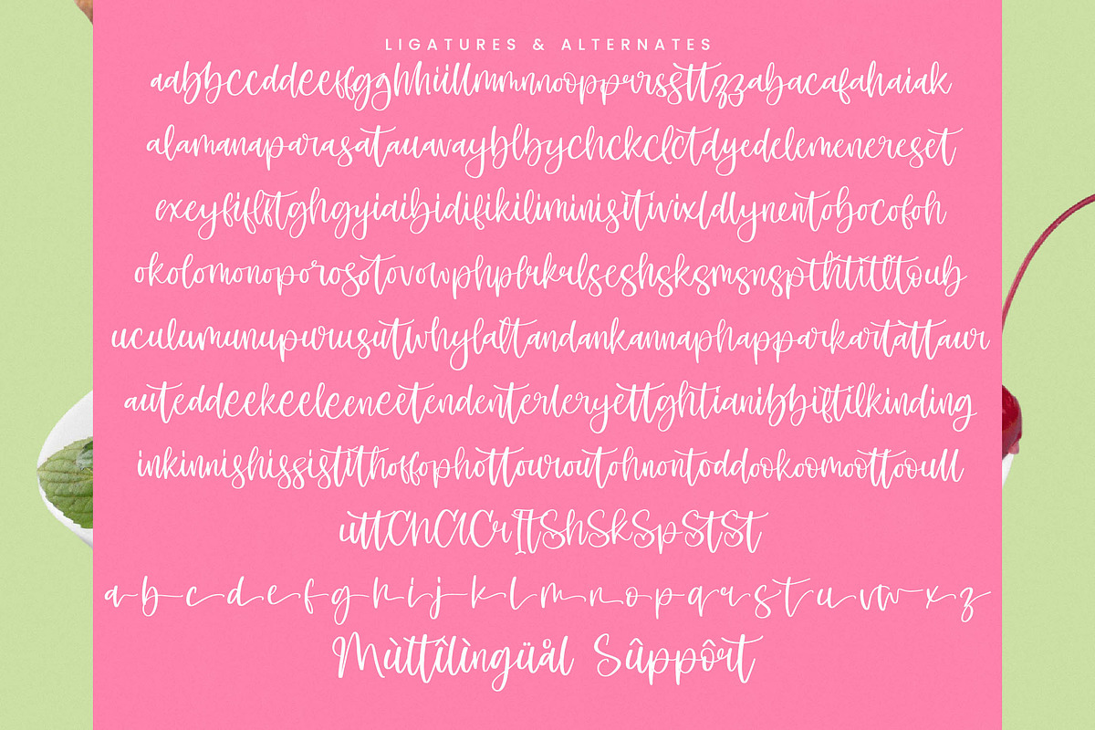 Shelter Melody Handwritten Script, a Script Font by stylishtype.co (Photo 19 of 20)