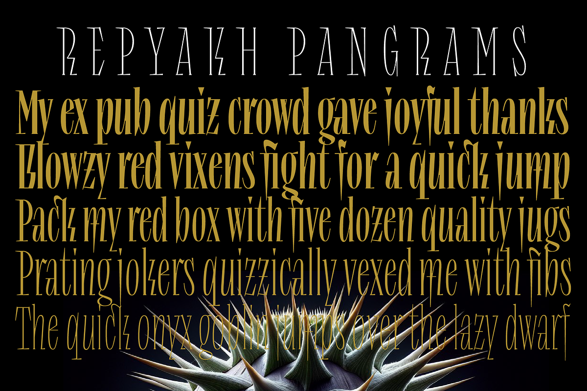 Repyakh Variable, a Serif Font by LevType (Photo 9 of 14)