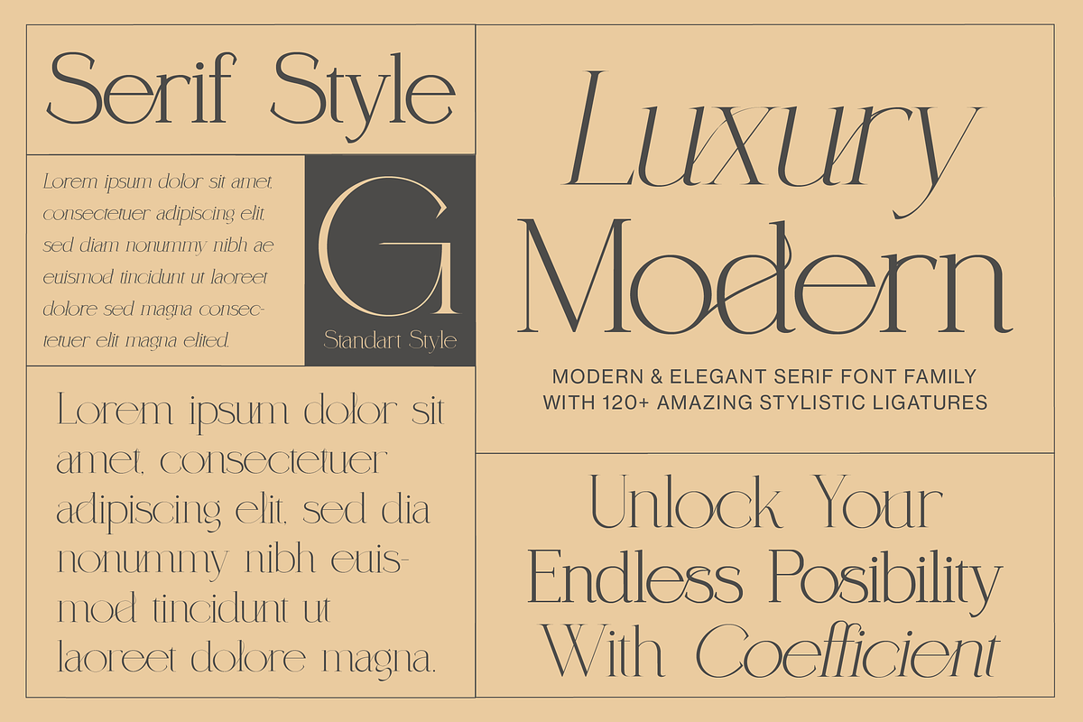 Coefficient Modern & Elegant Serif, a Serif Font by Lettertype Studio (Photo 6 of 18)