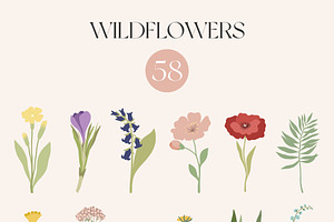 Wildflowers Graphic Collection