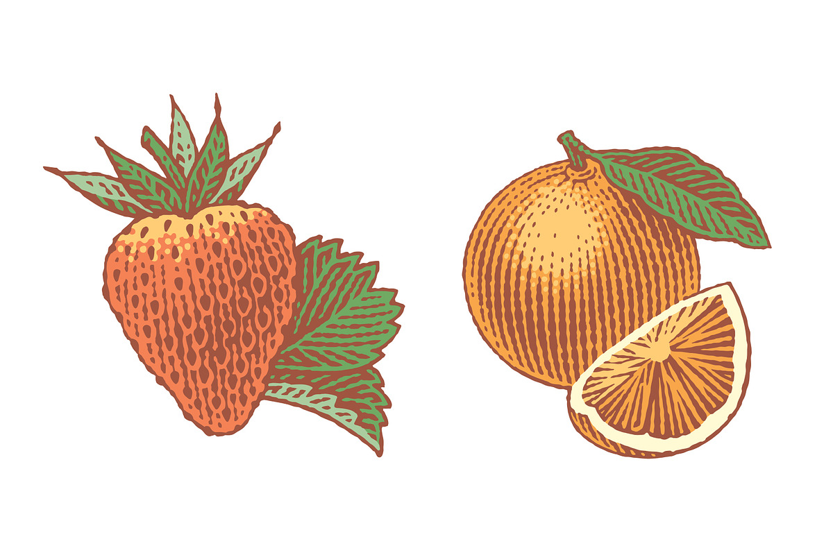 Strawberry and Orange, a Food Illustration by Irina Trusova (Photo 1 of 5)