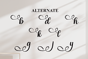 Wrongler | Script Font, a Handwritten Font by Scratchones (Thumbnail 8 of 9)