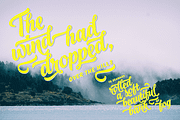 Black Script -12 fonts + extras pack, a Script Font by Fenotype (Thumbnail 11 of 11)