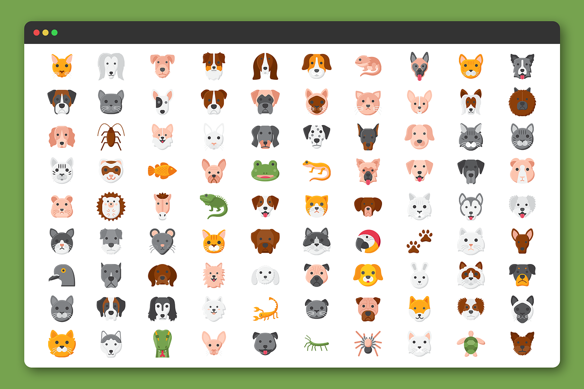Pet Essentials Icon Set, a Solid Icon by Flat Icons (Photo 7 of 7)