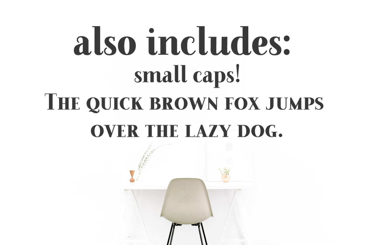 Farewell Angelina Display serif font, a Serif Font by Ana's Fonts (Photo 9 of 9)