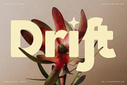 Saffielle - Bold Vintage Typeface, a Sans Serif Font by SilverStag Type Foundry (Thumbnail 3 of 15)