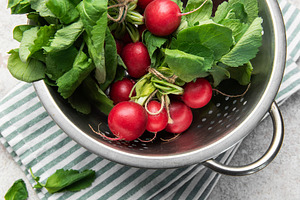 Fresh radishes with green tops in colander, a Food & Drink Photo by Olena Rudo