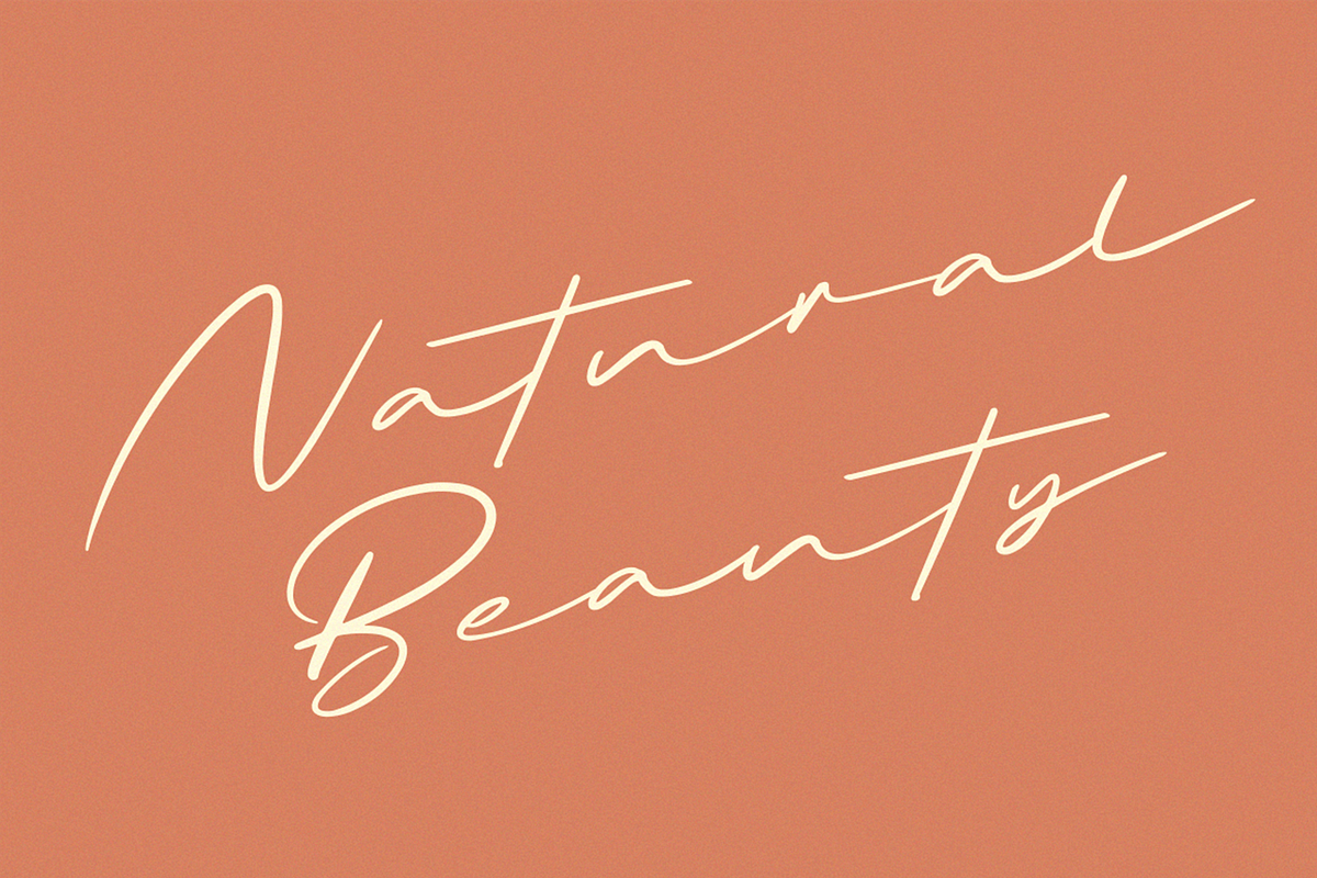Briquete | Natural Brush Font, a Script Font by Ardana Creative (Photo 6 of 14)