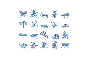 Insect, Spider And Bug Wildlife, an Object Illustration by pikepicture
