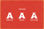 Bronco Font Collection + Extras, a Serif Font by Misha Sova (Thumbnail 9 of 10)