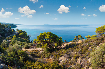 Morning Aegean coast, Sithonia, Greece., a Nature Photo by YuriyB
