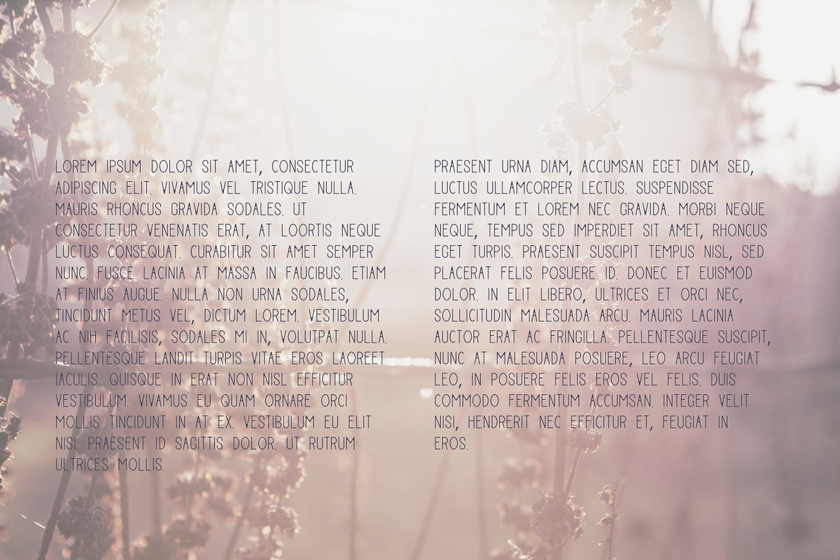Daybreak Typeface preview 3