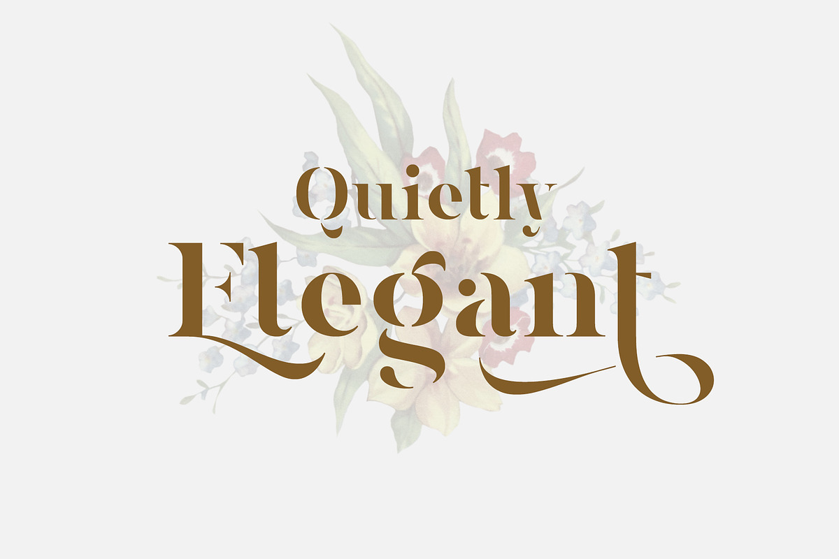 Magnies - Minimal Serif preview 2