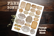 Antique Compass Map Scrapbook Paper, a Background Graphic by V Design Creator (Thumbnail 7 of 10)