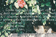 Bendy Goose, a Serif Font by Treich Design (Thumbnail 3 of 4)