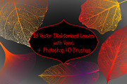 Leaf Structure Skeletons, a Brush Add-On by Kseniya-Omega (Thumbnail 1 of 7)