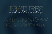 Waymar Hairline, a Serif Font by NREY (Thumbnail 5 of 8)