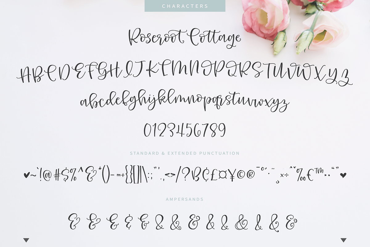Roseroot Cottage Font Collection preview 5