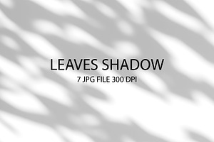 Leaves Shadow on Wall Background.