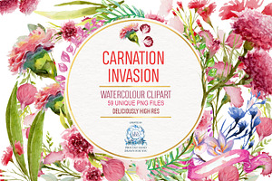 Carnation Watercolor Clipart PNG 59!