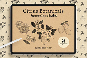Citrus Botanicals Procreate Stamps