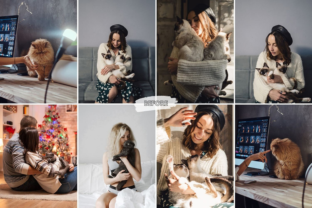 10 Curious Cat Lightroom Presets, a Preset Add-On by LucaTheme (Photo 3 of 9)