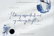 Darlington Signature, a Script Font by Glyphstyle (Thumbnail 2 of 11)