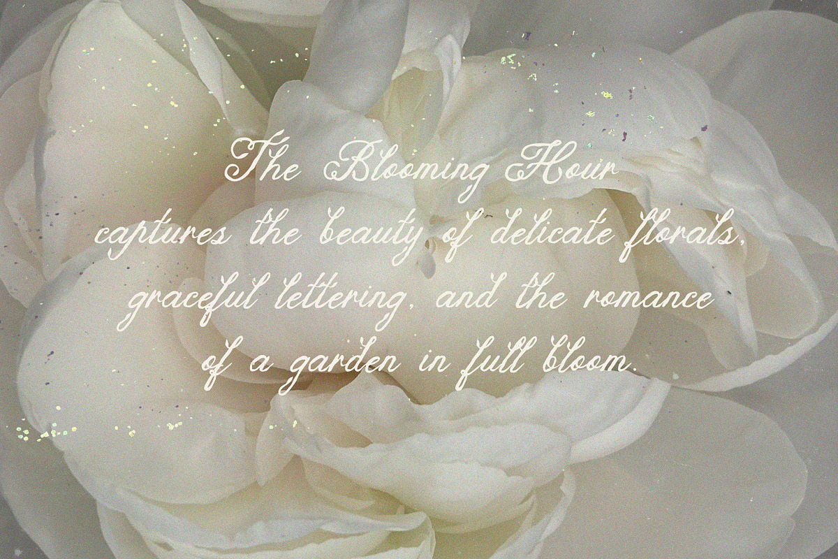 The Blooming Hour Botanical Script, a Script Font by AnMark (Photo 8 of 12)