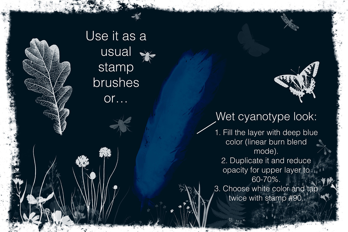 Sunprint Brushes Procreate/PS, a Brush Add-On by OlgaRom (Photo 2 of 8)