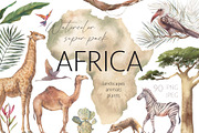 AFRICA, an Animal Illustration by Eisfrei (Thumbnail 1 of 14)