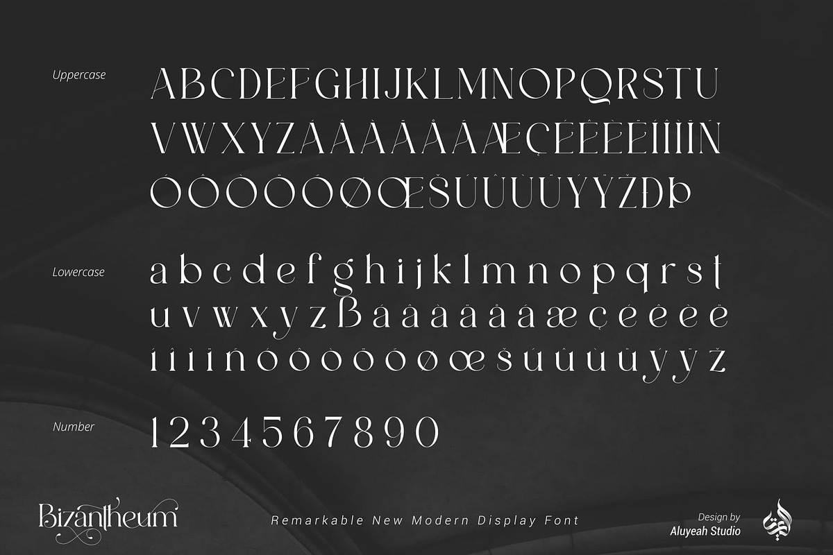 Bizantheum, a Serif Font by Aluyeah Studio (Photo 13 of 15)