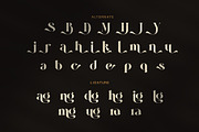 Brukle Elegant Serif Font, a Serif Font by Graphicxell (Thumbnail 9 of 9)