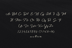 Palmark - Signature Font