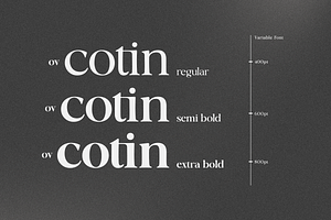 OV Cotin Serif Font Family