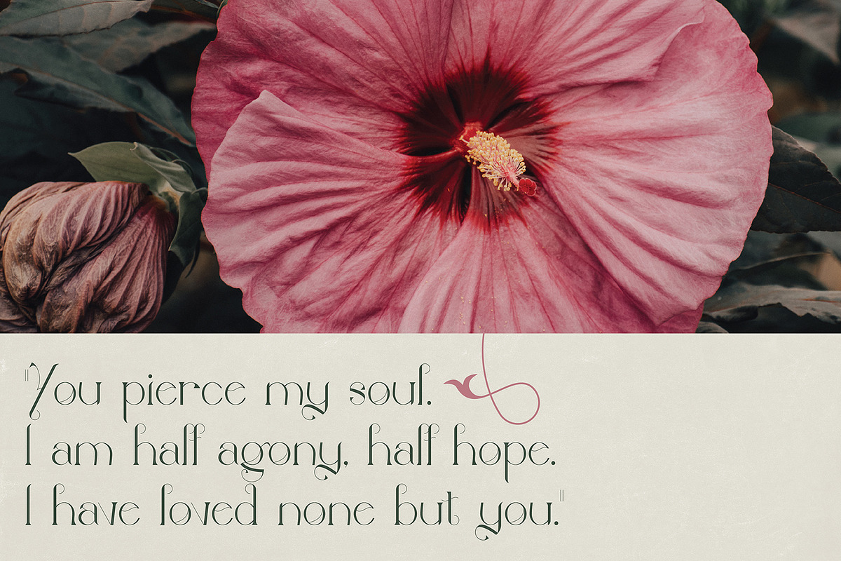 Gladiolus: Elegant Art Nouveau Type, a Serif Font by Megan Mahfoud Studio (Photo 7 of 8)