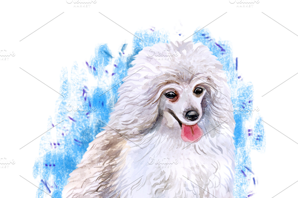 Watercolor Dogs Mega Big Bundle, an Illustration by Dneprstock (Photo 51 of 60)