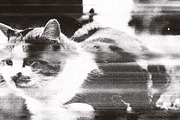 Old Scan Print, a Layer Style Add-On by dokudokunomi (Thumbnail 5 of 5)