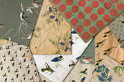 Vintage Birds- 10 Digital paper, a Texture Graphic by JAY MID IMAGE (Thumbnail 2 of 4)