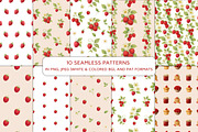 Raspberry Clipart & Patterns Bundle, a Food Illustration by MuzaArtStudio (Thumbnail 12 of 14)