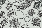 Hand-Illustrated Botanicals Vectors, an Illustration by Britt Fabello (Thumbnail 4 of 5)