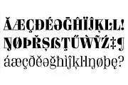 Atol, a Serif Font by Type & Roll (Thumbnail 8 of 8)