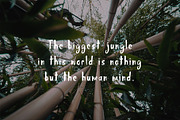 Jungle Display Font, a Script Font by Nadezda (Thumbnail 2 of 8)