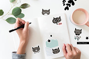 Cat comic. Funny set, an Animal Illustration by Noli Molly Store (Thumbnail 5 of 6)