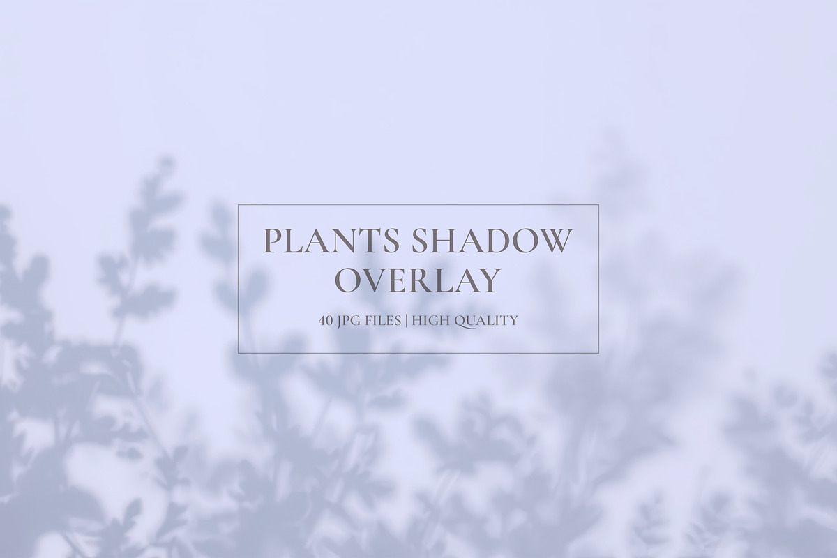 Plants Shadow Overlay, a Background Graphic by M9 Design (Photo 2 of 11)