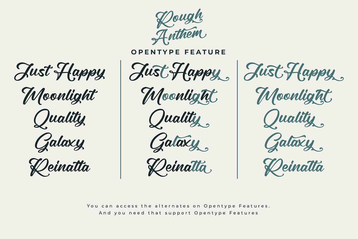 Rough Anthem - Modern Script Font, a Script Font by ribethstudio (Photo 3 of 12)