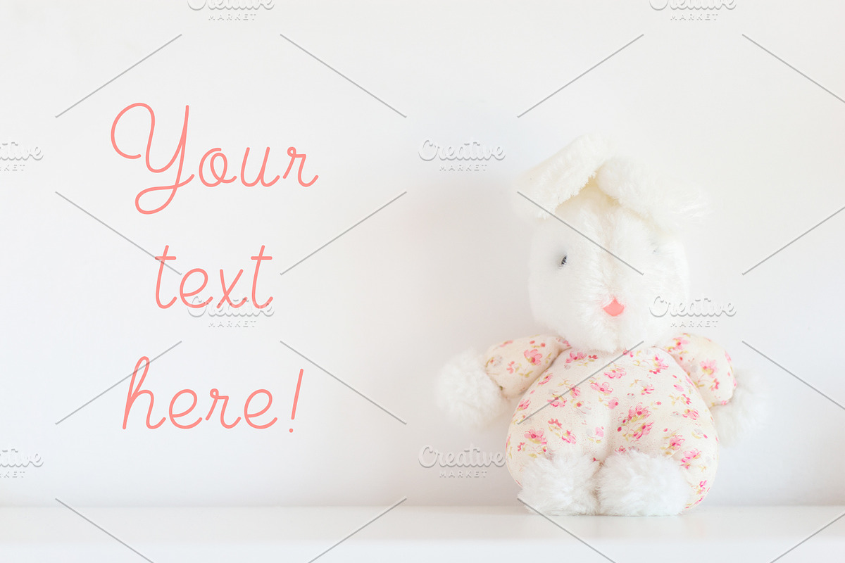 Little bunny containing photography, still life, and white background, an Arts & Entertainment Photo by Maria Dattola Photography (Photo 1 of 2)