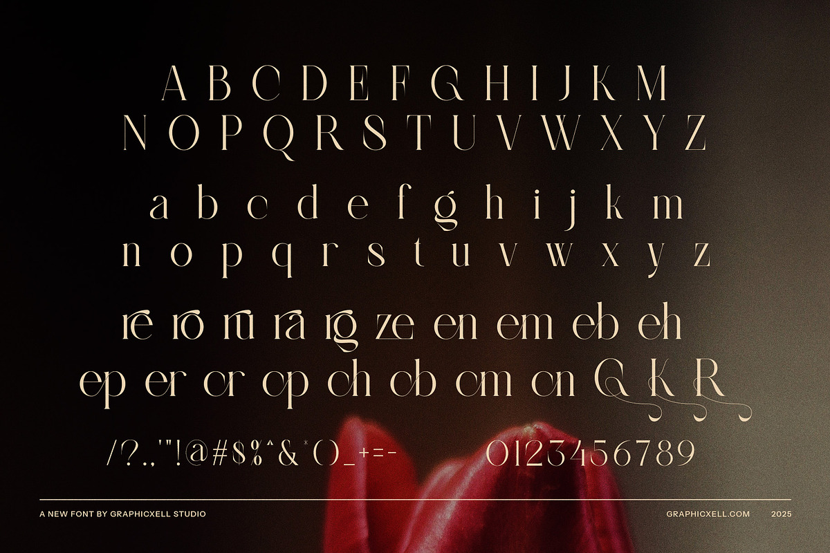 Glizen Elegant Serif Font, a Serif Font by Graphicxell (Photo 8 of 8)