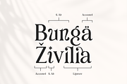 Bunga Zivilia - Display Serif Font, a Serif Font by Artchitype Studio (Thumbnail 12 of 12)