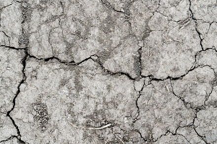 Texture of dry cracked earth., an Abstract Photo by Eugene_Photo
